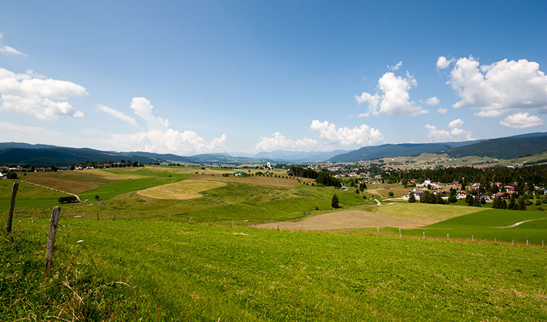 Summer panorama of the plateau