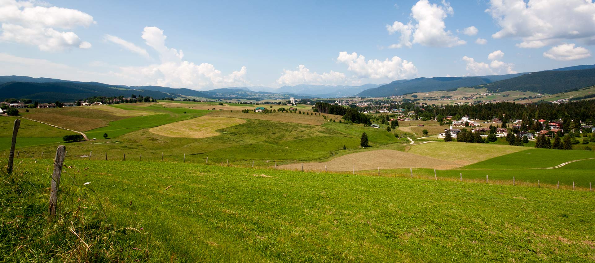 The plateau in summer