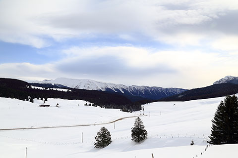 Vista della catena del Vezzena